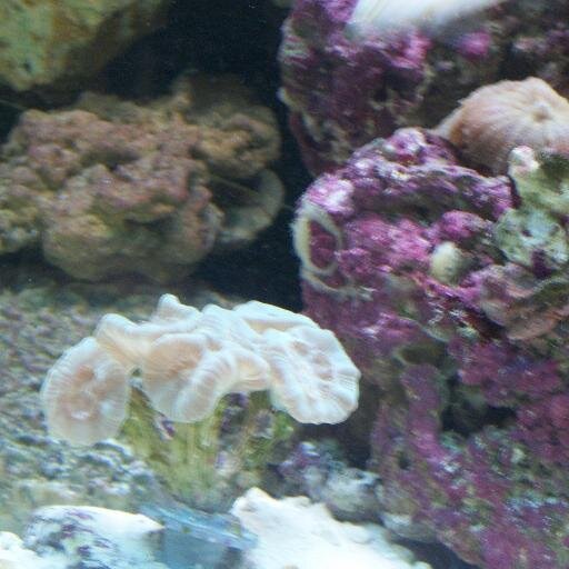 dj15131's profile picture. 