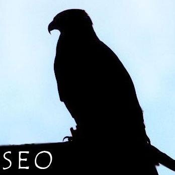 SeoSokol's profile picture. Создание и продвижение сайтов #seo #webdesign #smm