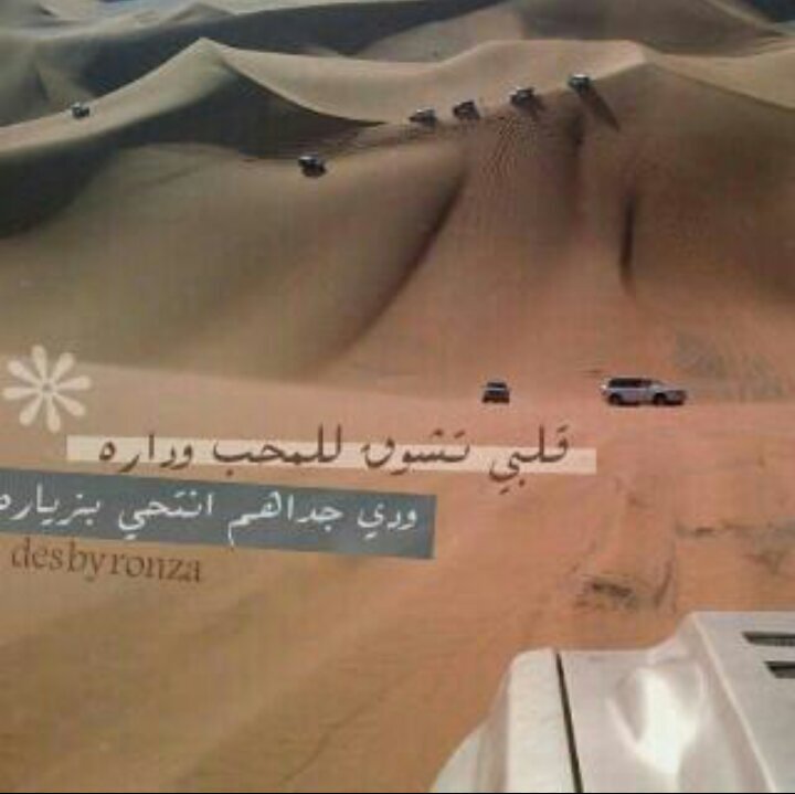 ‏‏‏‏‏‏‏‏‏‏‏‏‏‏‏ طيب اسأل ؛؛ يمكن أحتاجك أنا                                                                                  ؛؛