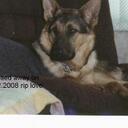 craig bower - @blobbsta - Twitter