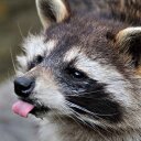 Paul Karl - @wintermagic2005 - Twitter