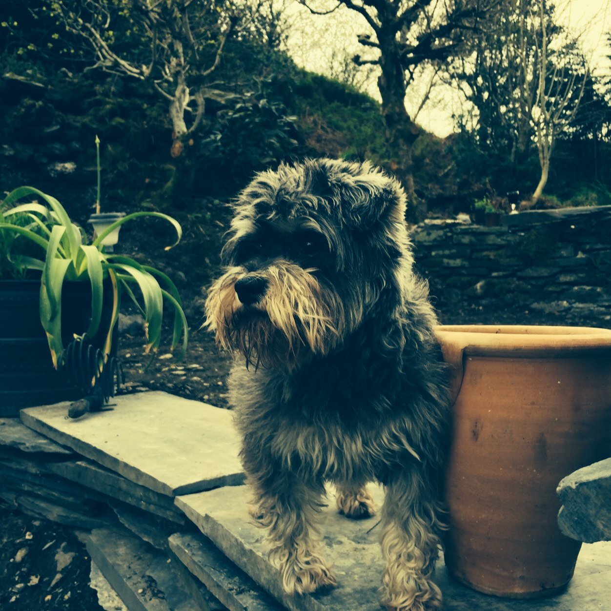 soupilicious's profile picture. A new revolution in simply fabulous soup. Watch this space as the soup is currently bubbling away