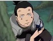 Leaf Clan- Taken by My princess Ino- Shadows-Im not lazy I just don't like so much work-relaxing-Ino is awesome!-That's it-