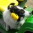 SuperPiperTBay's profile image
