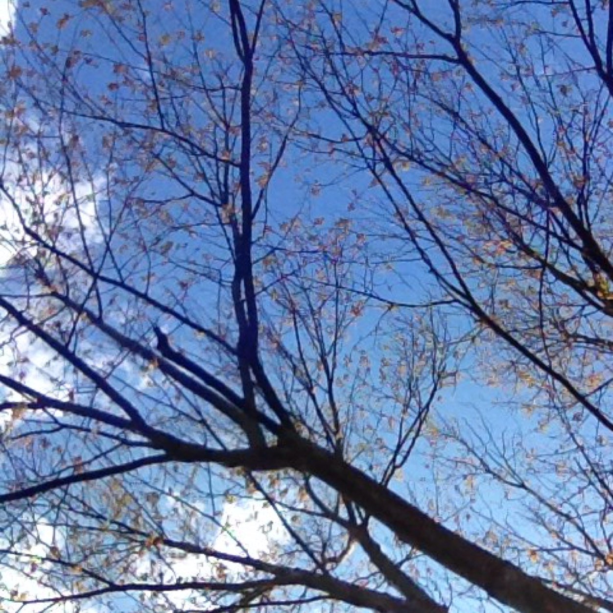 TAYBLACK_DAZOO's profile picture. Lol