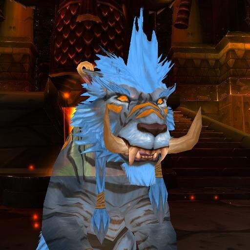 Ruin gaming 10x Multiboxer, 8  unholy DK's, 2 resto shaman's