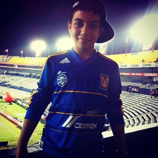Tigres Te Amo 3