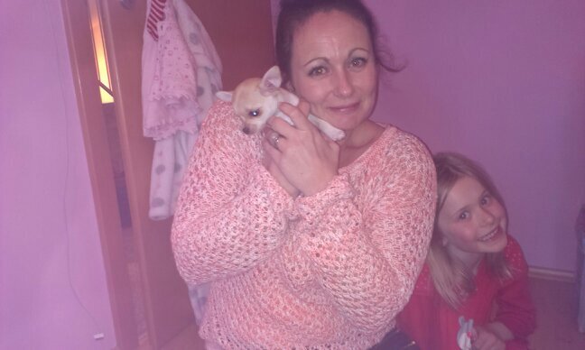 lisa2003chapman's profile picture. 