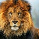 Dave Blanchette - @BlanchetteDb - Twitter