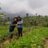 Diesya_Flora's profile image