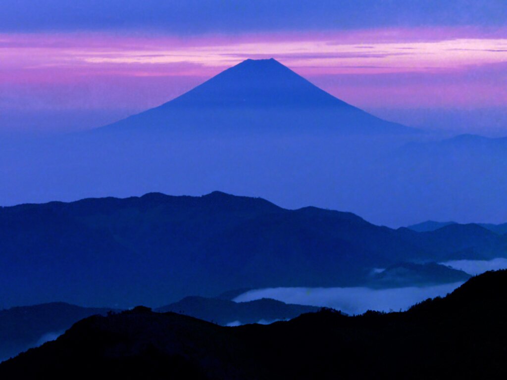 RikaItoInt's profile picture. We are all different. In race, religion, gender, age, nationality, sexual orientation. It's not a crime. It's human.