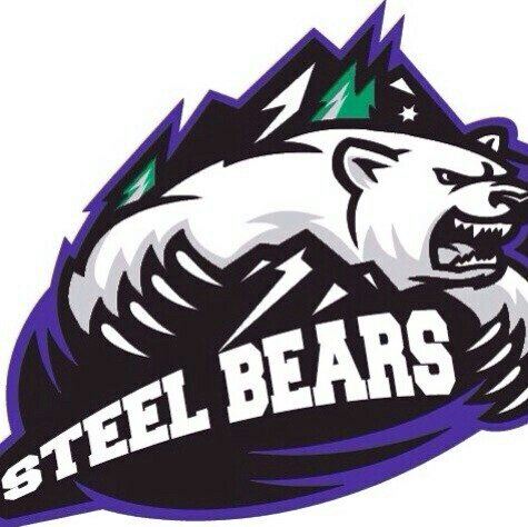 BearsSteel's profile picture. Сборная по хоккею института МИСиС-МГГУ,участвующая в чемпионате Московской Студенческой Хоккейной Лиге