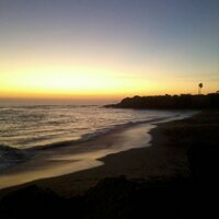 Tatiana Santos (@toxicfreefuture) 's Twitter Profile