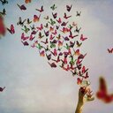 ROSA FRANK - @ROSAFRANCKE - Twitter