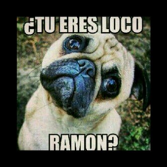 hwleon13's profile picture. 