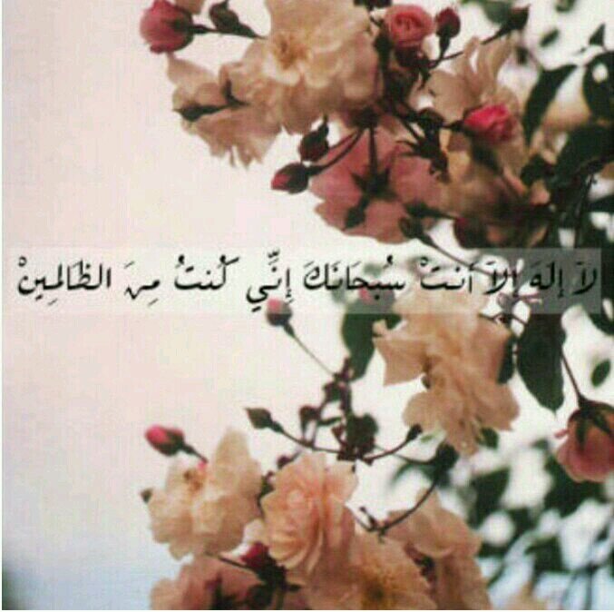 إلهي نسألك حسن الخاتمة فأقبضنا إليك في مكان تُحب أن ترانا فيه مُلبين ، ذاكرين ، راكعين ، ساجدين