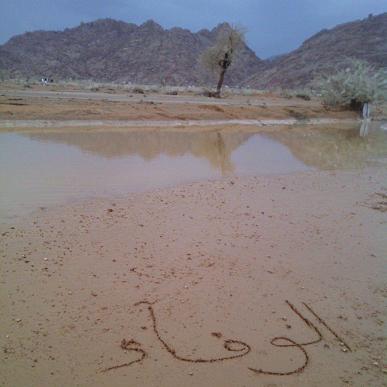 ماهو عالمك ؟ اممي ' ولما ؟ لان اممي قلب و روح و دنيآ و امان وعشق وسعاده وحب ليس له مثيل ولا شبيه ولا بديل .