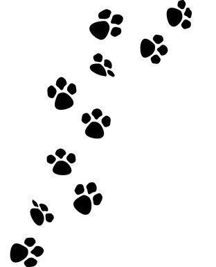 Hi there, my name is Fiona, i am the owner of Bootiful Pooches, a mobile dog groomer in RCT. I have the best clients anyone could ask for, always a wagging tail
