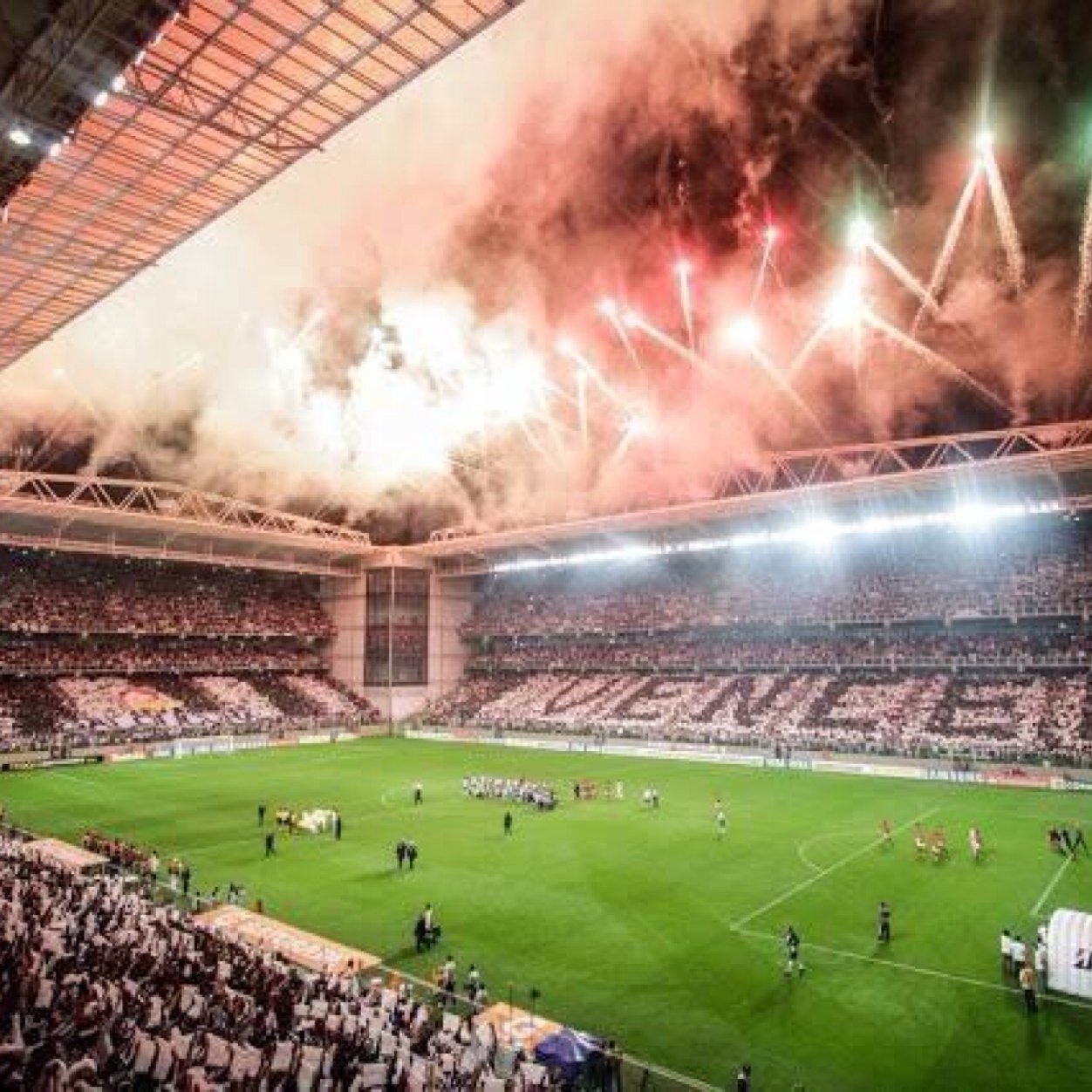 Torcedor do #Galo! Galo sempre!!