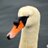 MarilynQuilty's profile image