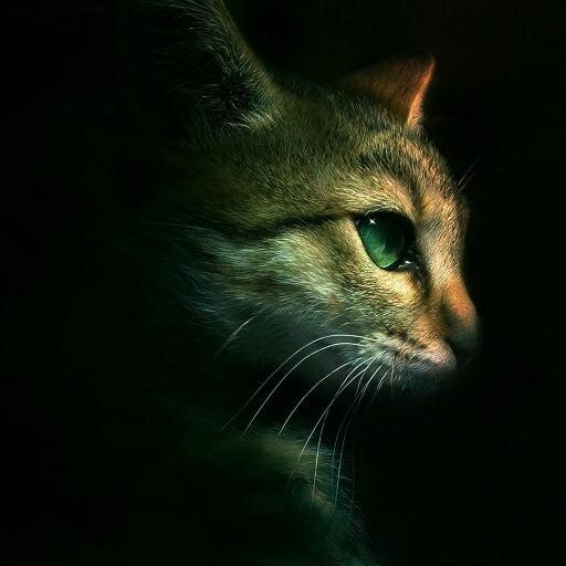 Films, music, games.
#FollowBack