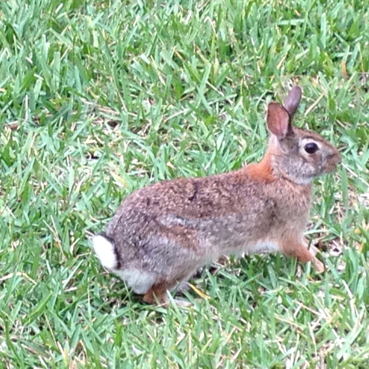 DaniRindlisbach's profile picture. 