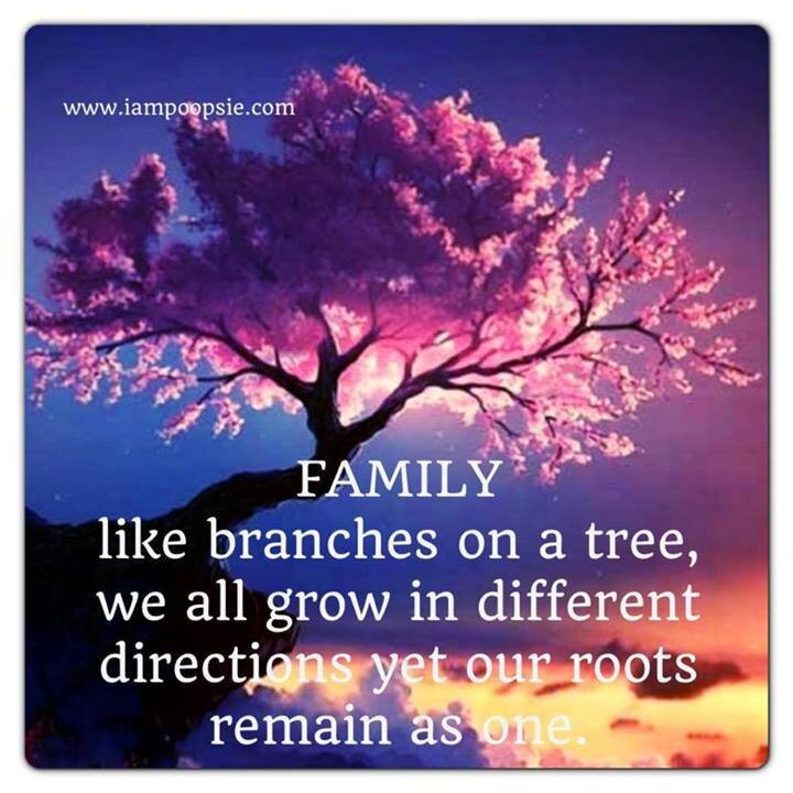 IANG32797088's profile picture. 