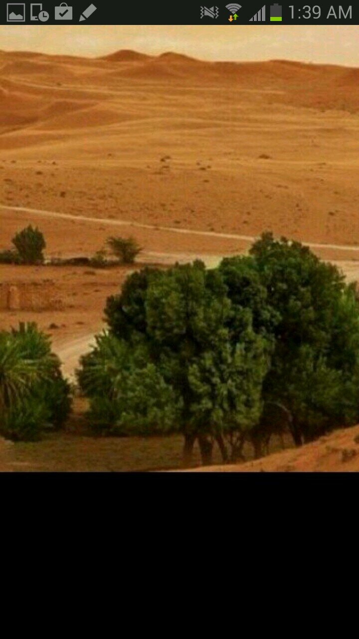‏‏فليتك تحلو والحياة مريرة .....وليتك ترضرى والانام غضاب