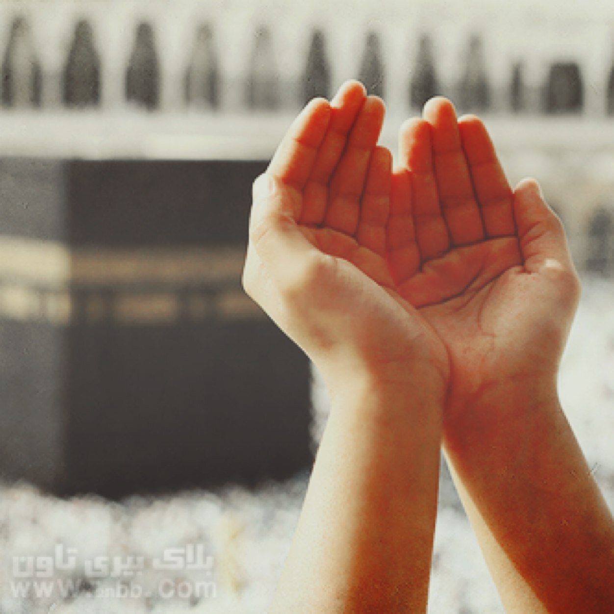 حساب متخصص للأذكار والأدعية اللهم اجعل هذا الحساب صدقة جارية لي ولوالدي ولجميع المسلمين 
 Instagram: @everydayathkar