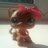 CandyDashWoods's profile image
