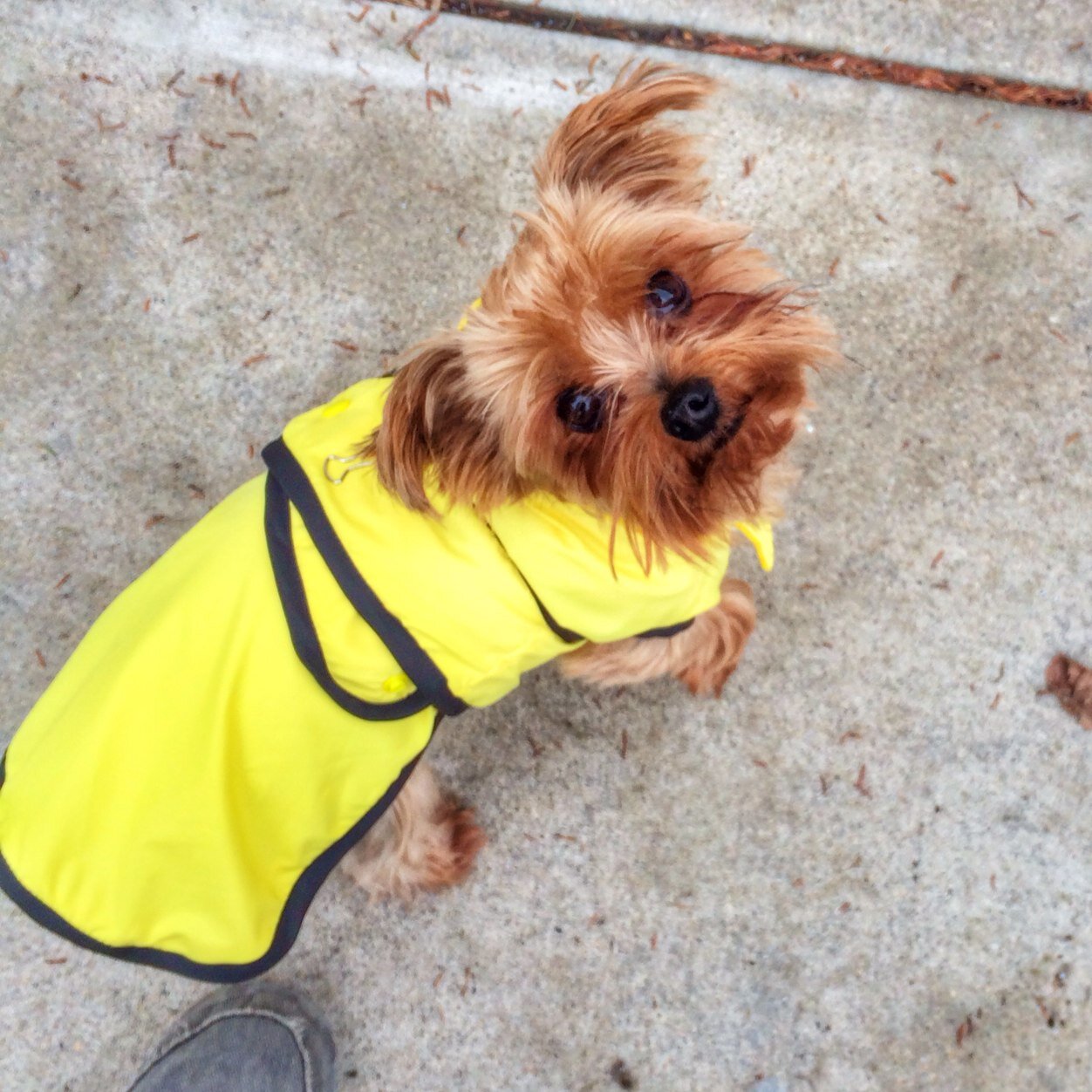 peeta333's profile picture. 