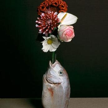 AneteSooda's profile picture. 