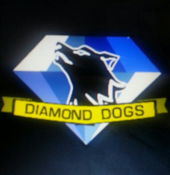 CoDWilyFox's profile picture. Call of Duty gamer on Playstation 4. Buying a laptop and video capture device in the next month :)