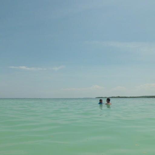 AlicePicon's profile picture. 