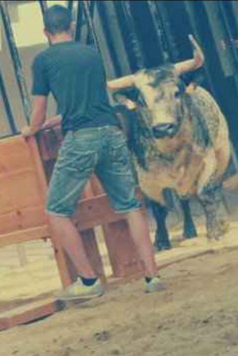 Apasionado del mundo del toro y del caballo.