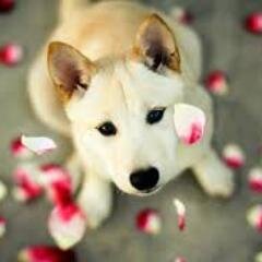 hello! im lucy love. (: