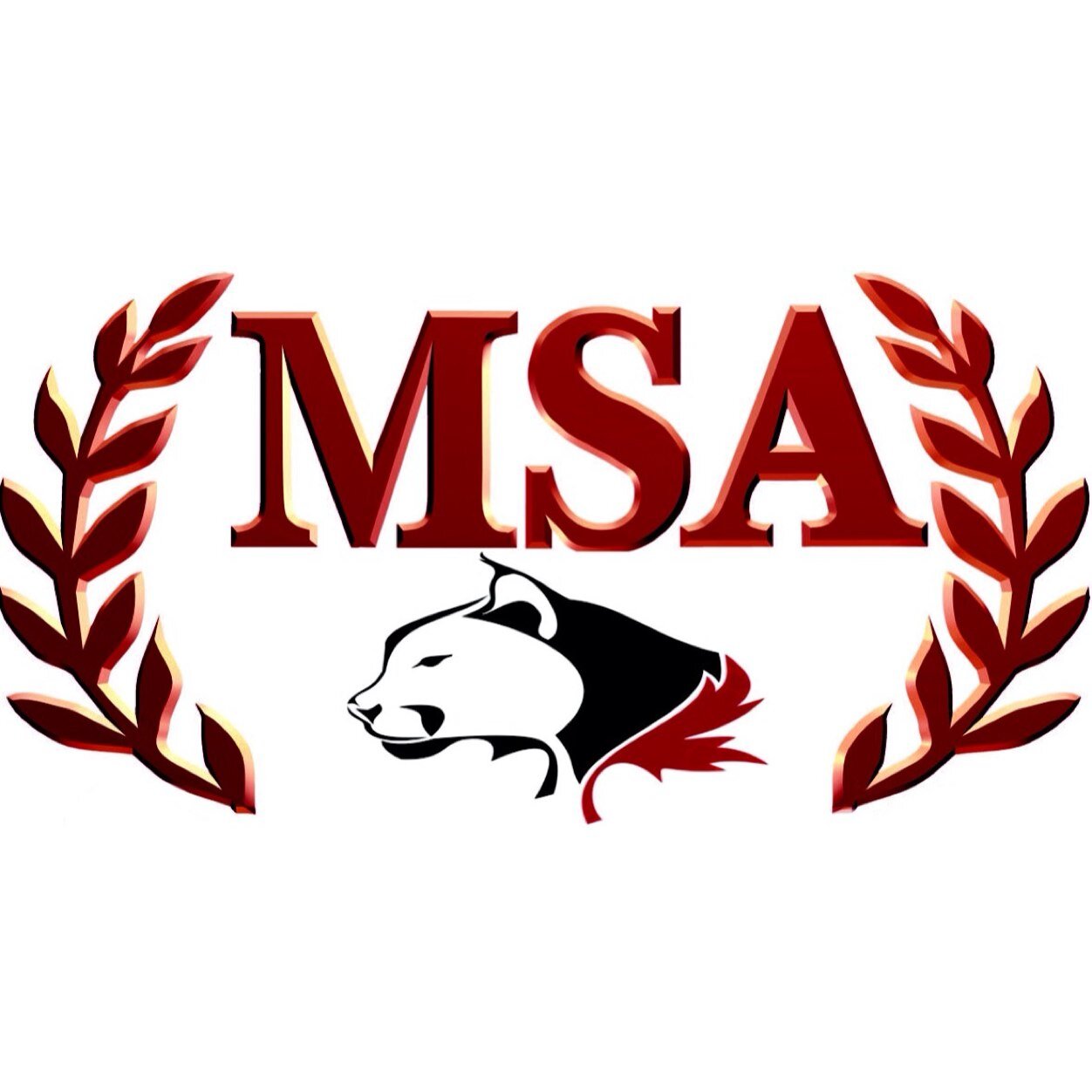 This is the page for the MSA for SLSS. Everything from important meetings to info on Friday Prayers will be tweeted here!