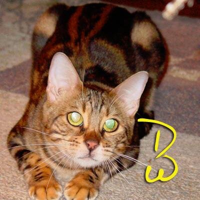 I'm an ex-nurse with Lupus who does graphic design. I write for sanity maintenance! I do artwork for the same reasons. Photoshop is my friend ;)