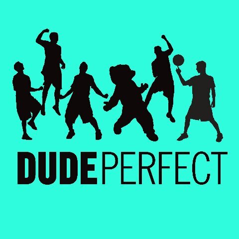 DudeDudeperfect's profile picture. 