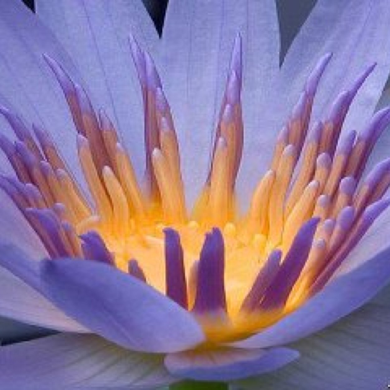 kathybachelder's profile picture. 