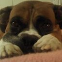 Barbara McDowell - @mrsmcdowell222 - Twitter