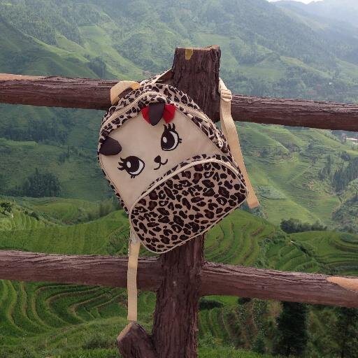 wwwchaowen's profile picture. 