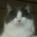 Janna Scott - @jannalscott - Twitter