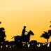 US Capital Polo (@uscapitalpolo) Twitter profile photo US Capital Polo (@uscapitalpolo) Twitter profile photo