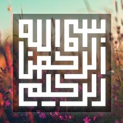 Commentary on Islam, feminism, current events, life...from one Muslim feminist's perspective. Dry sense of humor. Still learning.