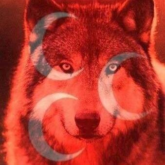 trhlsaks's profile picture. bakda gör gerçegi