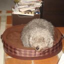 eloísa arias - @arias_elo - Twitter