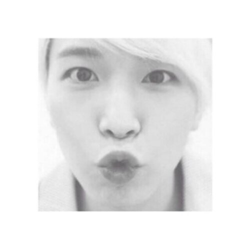 cutenessⓒ1986