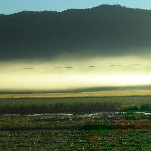 ElaineSpearing's profile picture. mainly farming not tweeting.