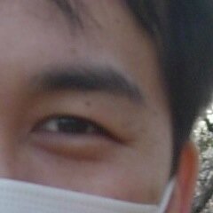 還暦の時に子供が中高生になる父親、北海道生まれ、都内在住、製薬会社勤務、教育研修、広島カープ、スポーツ、音楽、英会話、お笑い、甘いもの、投資、ムーミン